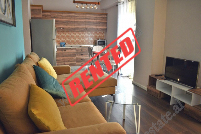 Apartament 1+1 me qira ne rrugen e Kavajes ne Tirane.

Ndodhet ne katin e 7 te nje pallati te ri m